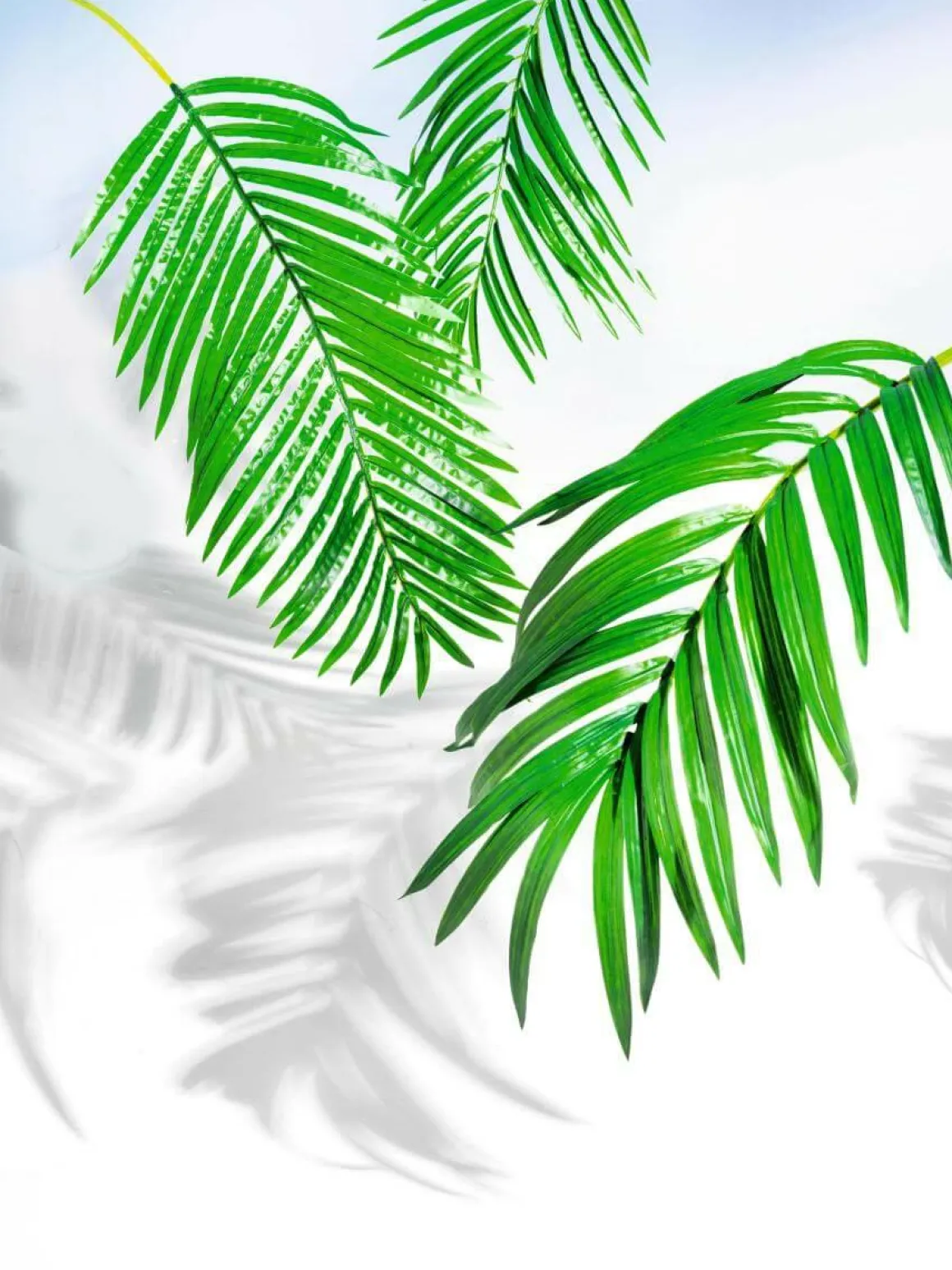 Kunstpalmen-Areca-Wedel, 98 Cm