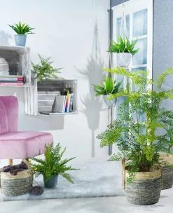 Kunstpflanze Farn Im Topf, 115 Cm