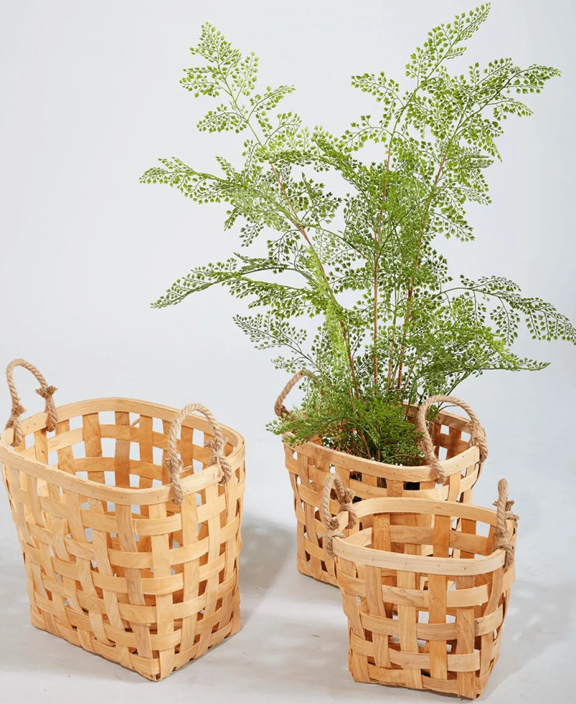 Kunstpflanze Farn Im Topf, 115 Cm