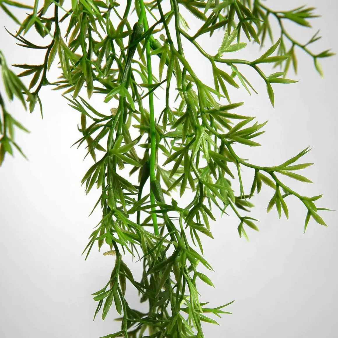 Kunstpflanzenhänger Zierspargel, Hellgrün 84 Cm