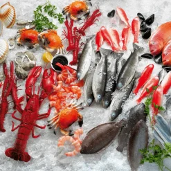 Kunststoff-Eiswürfel Lebensmittelecht, 12 Stück