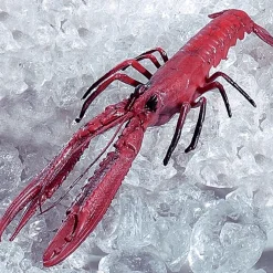 Languste Lebensmittel-Attrappe