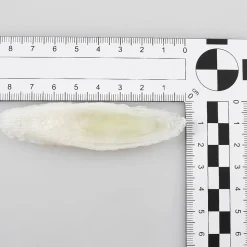 Lauchscheiben Lebensmittel-Attrappe, 6 Stück