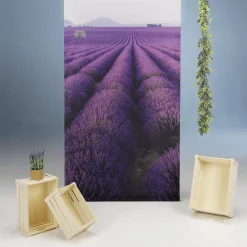 Lavendel Deko-Sparpaket Provence