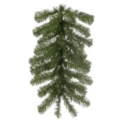 Luvi-Zweig Für Gigantbaum