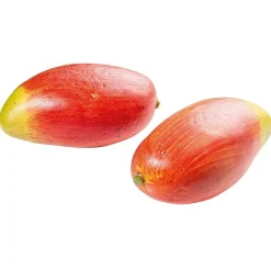 Mango Zillate Lebensmittel-Attrappe