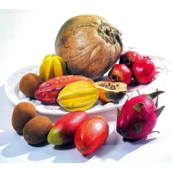 Mango Zillate Lebensmittel-Attrappe