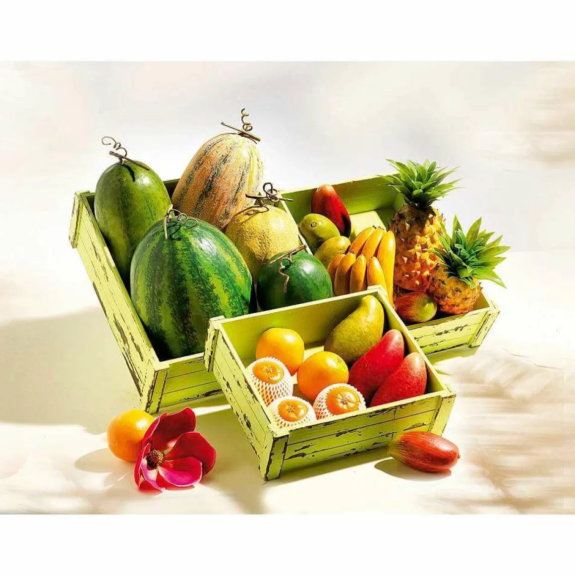 Mango Zillate Lebensmittel-Attrappe