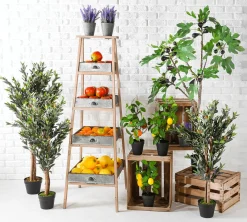 Orange Lebensmittel-Attrappe, Pack à 3 Stück