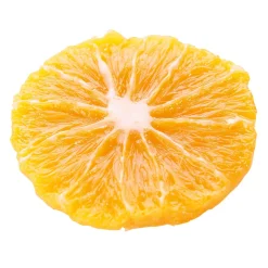 Orangen Scheibe Lebensmittel-Attrappe 5 Cm Ø