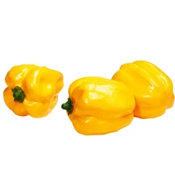 Paprika Lebensmittel-Attrappe, Pack à 3 Stück