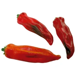 Pepperonis Rot Lebensmittelattrappe