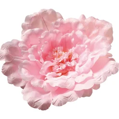 Pfingstrosenblüte XL 65 Cm Ø, Rosa