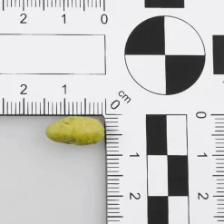 Pistazien-Lebensmittel-Attrappen 50 G Beutel