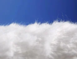 Plüsch Weiß, 150 Cm Breit