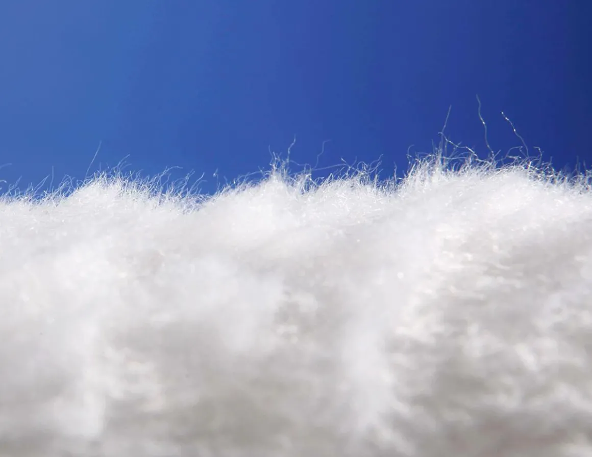 Plüsch Weiß, 150 Cm Breit