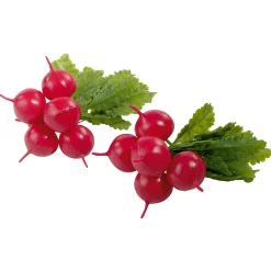 Radieschenbund Lebensmittel-Attrappe