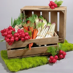 Radieschenbund Lebensmittel-Attrappe