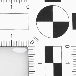 Reis Lebensmittel-Attrappe, 500 Gramm