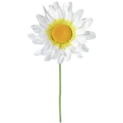 Riesen Gänseblümchen 170 Cm