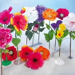 Riesen Pfingstrose 128 Cm