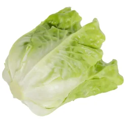 Römersalat Grün Lebensmittel-Attrappe