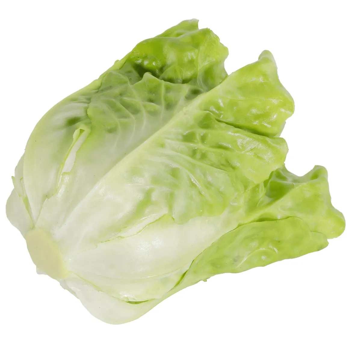 Römersalat Grün Lebensmittel-Attrappe