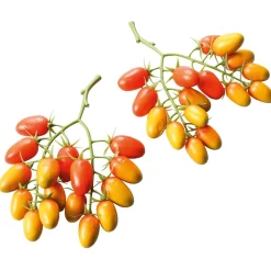 Roma-Rispentomaten Lebensmittel-Attrappe, Pack à 2 Stück