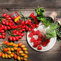 Roma-Rispentomaten Lebensmittel-Attrappe, Pack à 2 Stück