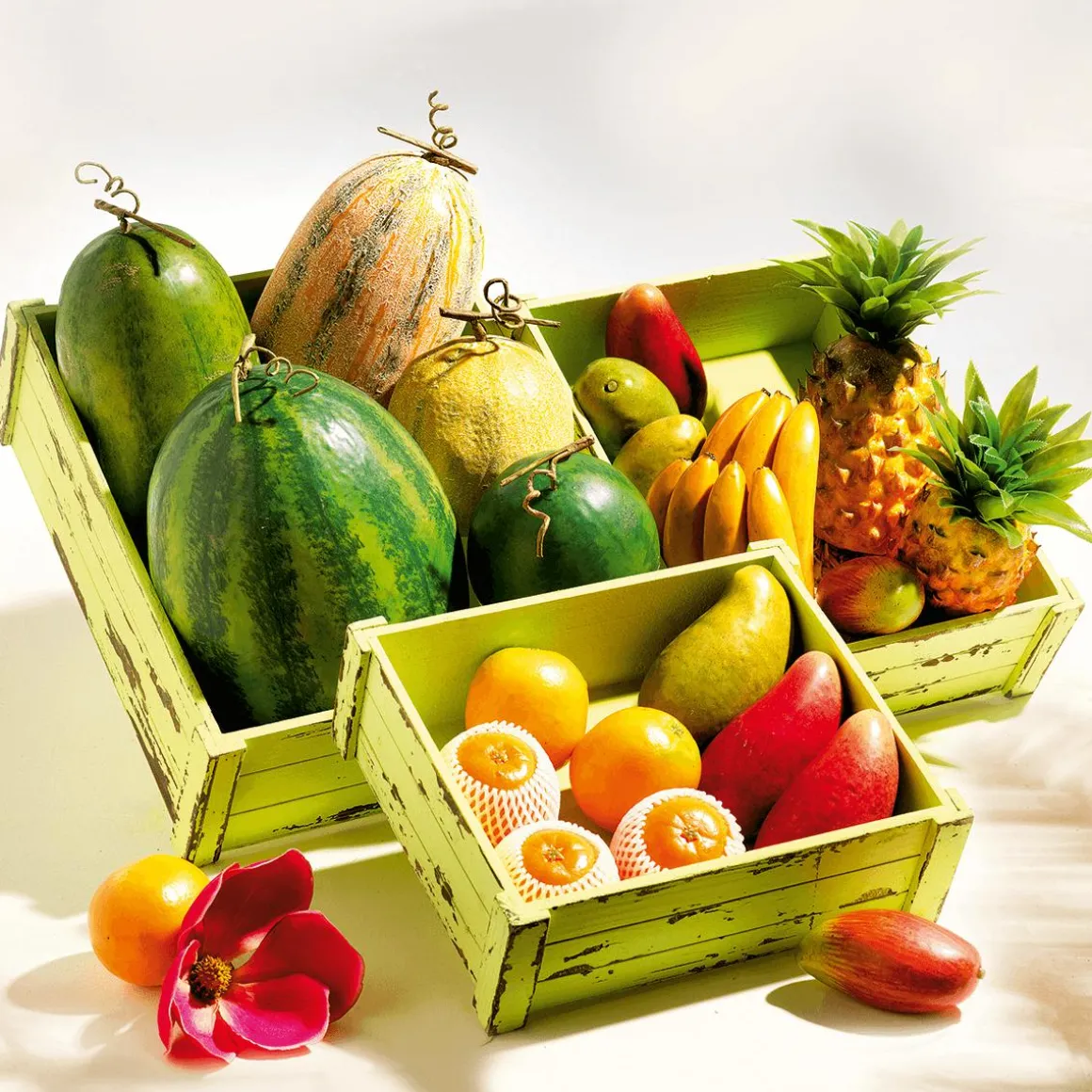 Rote Mango Manila Super Lebensmittel-Attrappe, Pack à 3 Stück