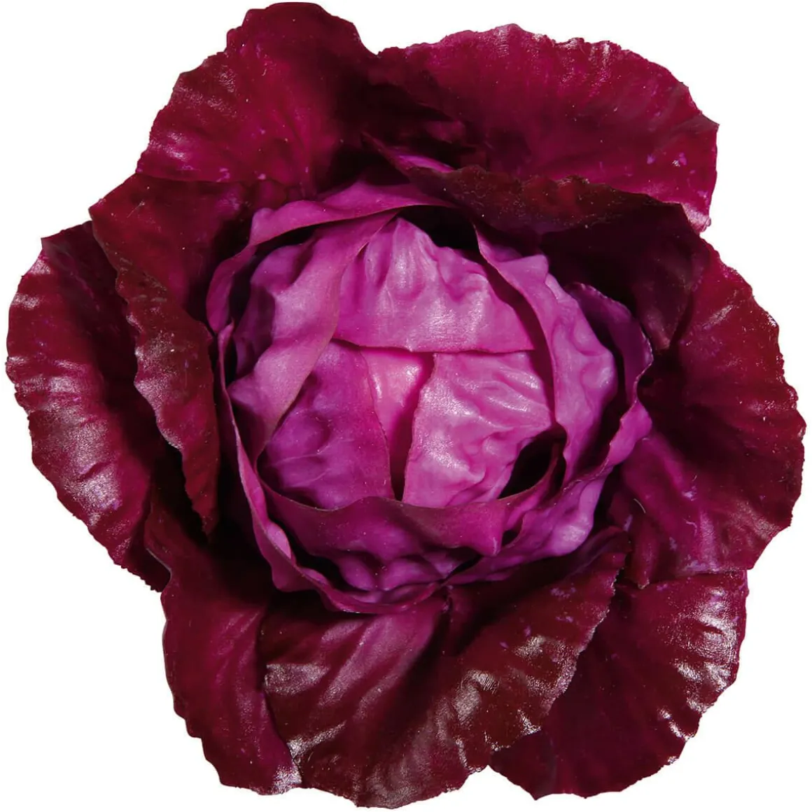 Rotkohl Lebensmittel-Attrappe, 13 Cm Ø