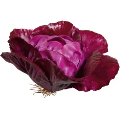 Rotkohl Lebensmittel-Attrappe, 13 Cm Ø