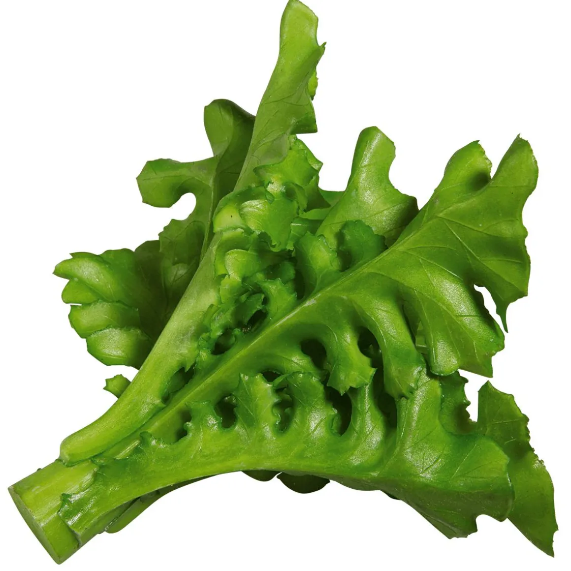 Rucola Salat Lebensmittel-Attrappe, Pack à 2 Stück