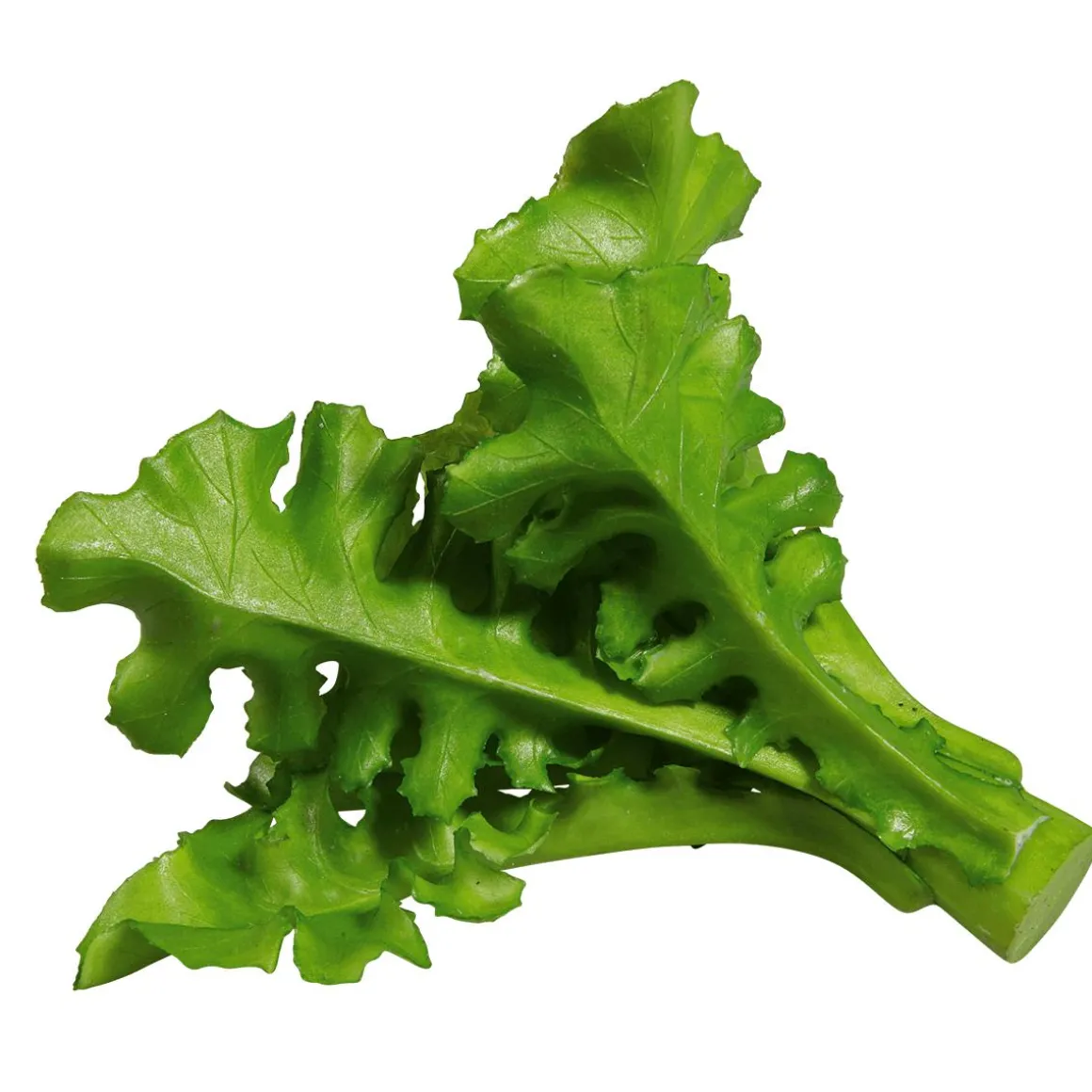 Rucola Salat Lebensmittel-Attrappe, Pack à 2 Stück