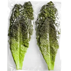 Salatblätter Grün-rot Lebensmittel-Attrappe, Pack à 6 Stück