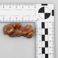 Schoko Pralinen Lebensmittel-Attrappe, 50 Stück