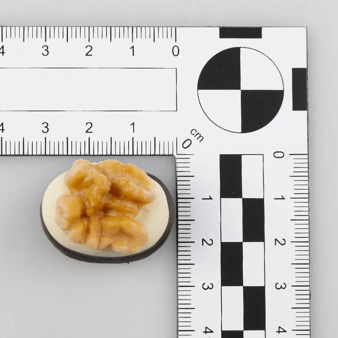 Schoko Pralinen Lebensmittel-Attrappe, 50 Stück