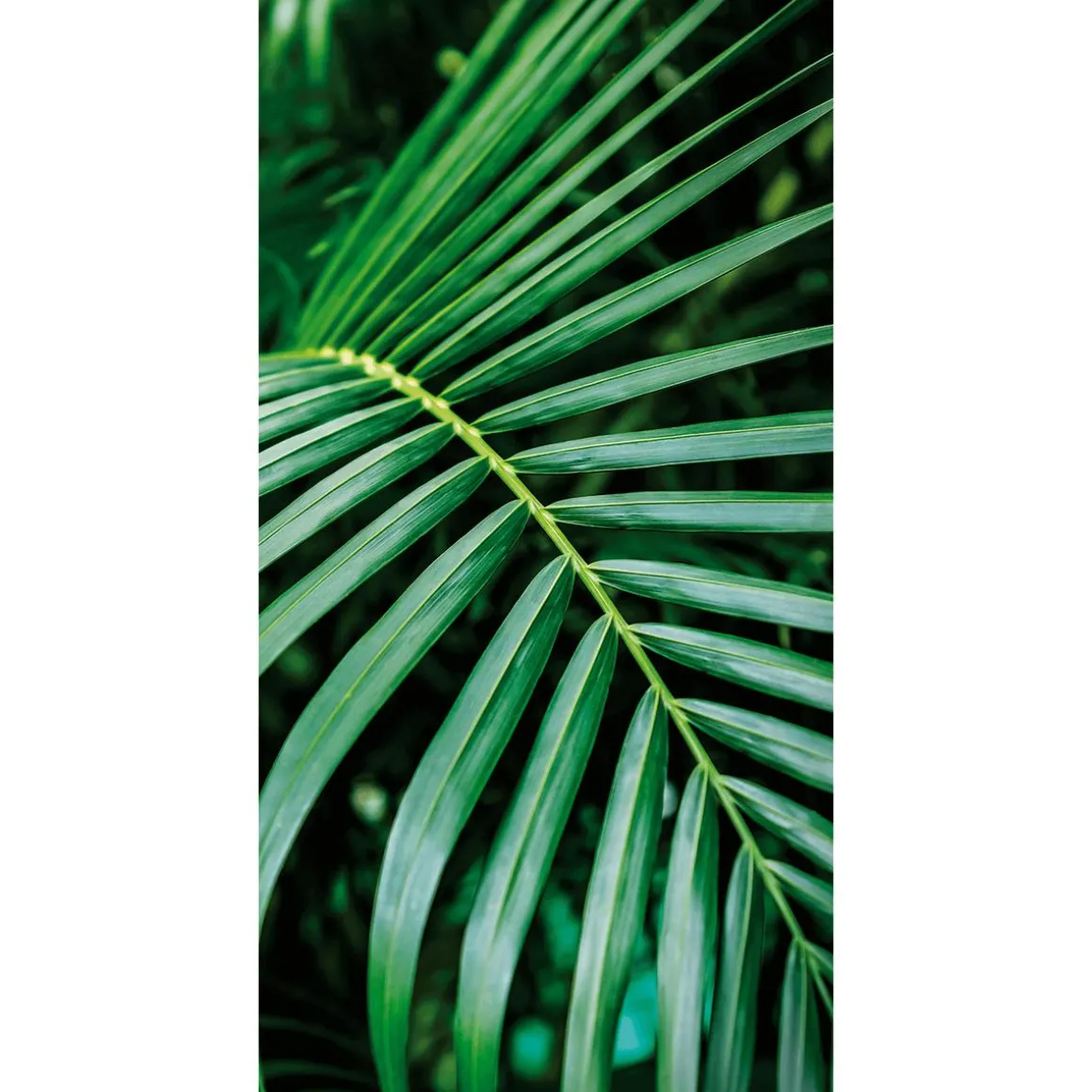 Schwer Entflammbarer Stoffbanner "Palmwedel" Aus Fahnenstoff 100 X 200 Cm