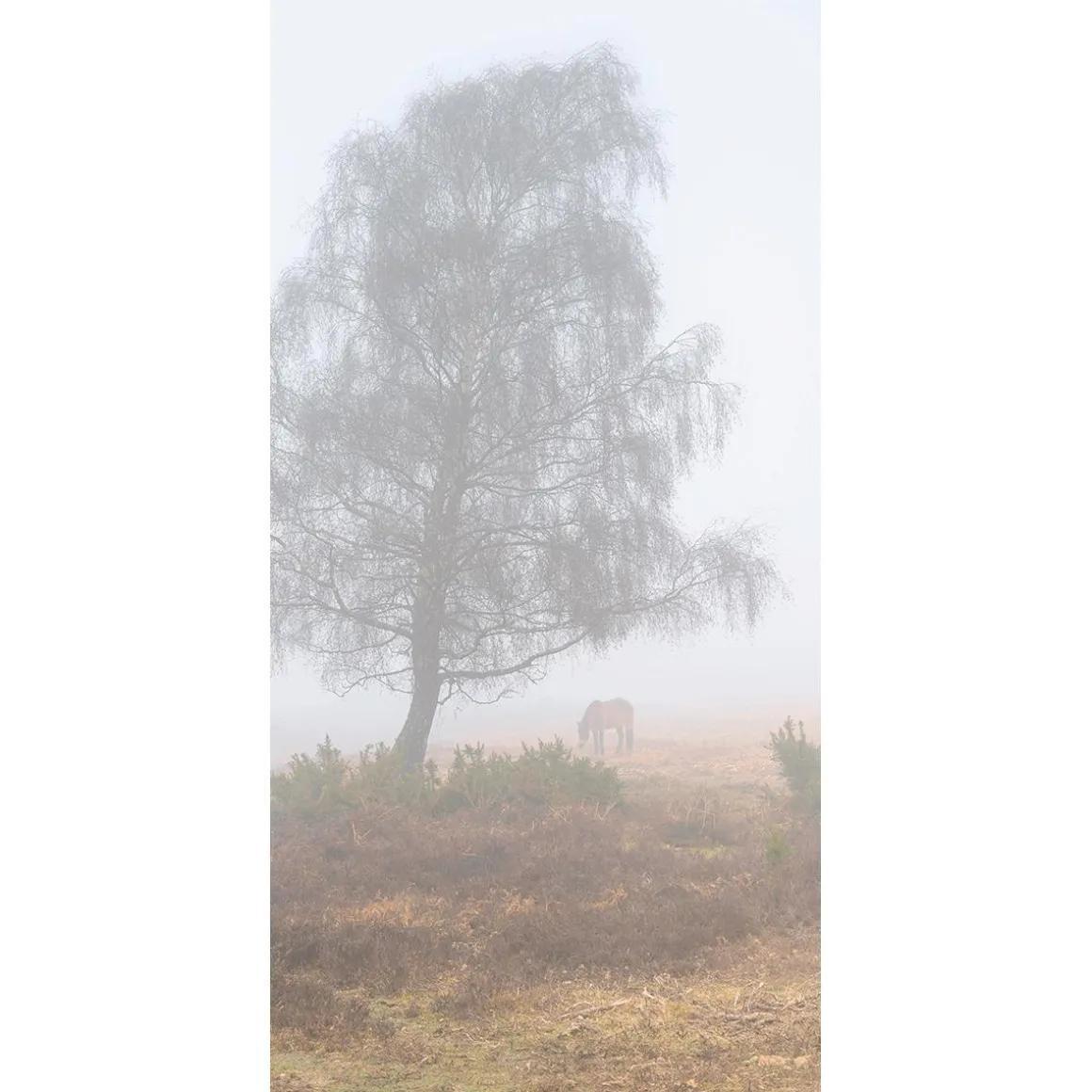 Schwer Entflammbarer Stoffbanner "Herbstnebel" Aus Fahnenstoff 100 X 200 Cm