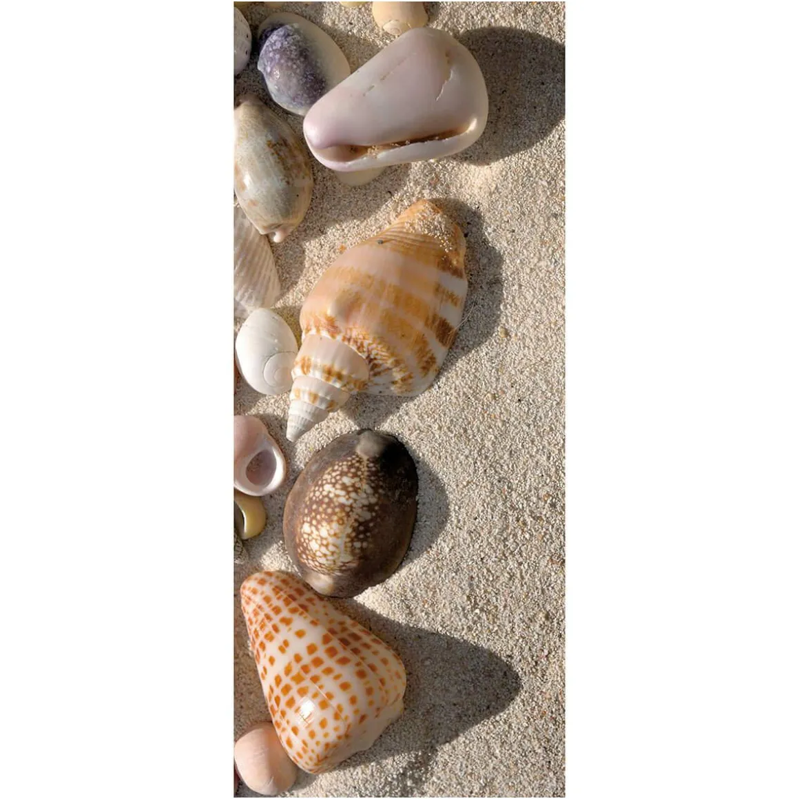 Schwer Entflammbarer Stoffbanner "Muscheln Im Sand" Aus Fahnenstoff 75 X 180 Cm