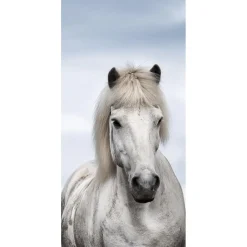 Schwer Entflammbarer Stoffbanner "weißes Isländer Pferd" Aus Fahnenstoff 100 X 200 Cm
