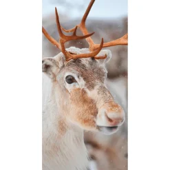 Schwer Entflammbarer Stoffbanner "Rentier" Aus Fahnenstoff 100 X 200 Cm