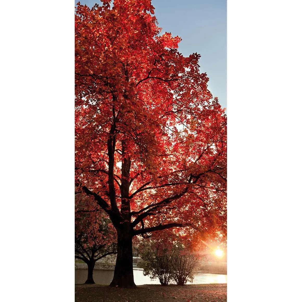 Schwer Entflammbarer Stoffbanner "roter Herbstbaum" Aus Fahnenstoff 100 X 200 Cm