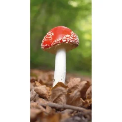 Schwer Entflammbarer Stoffbanner "Glückspilz" Aus Fahnenstoff 100 X 200 Cm