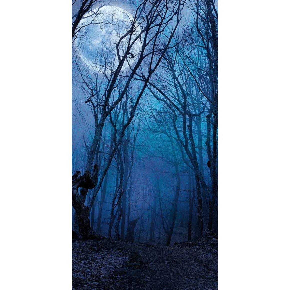 Schwer Entflammbarer Stoffbanner "Nachtwald Bei Vollmond" Aus Fahnenstoff 100 X 200 Cm