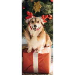 Schwer Entflammbarer Stoffbanner "Weihnachtshund Corgi" Aus Fahnenstoff 75 X 180 Cm