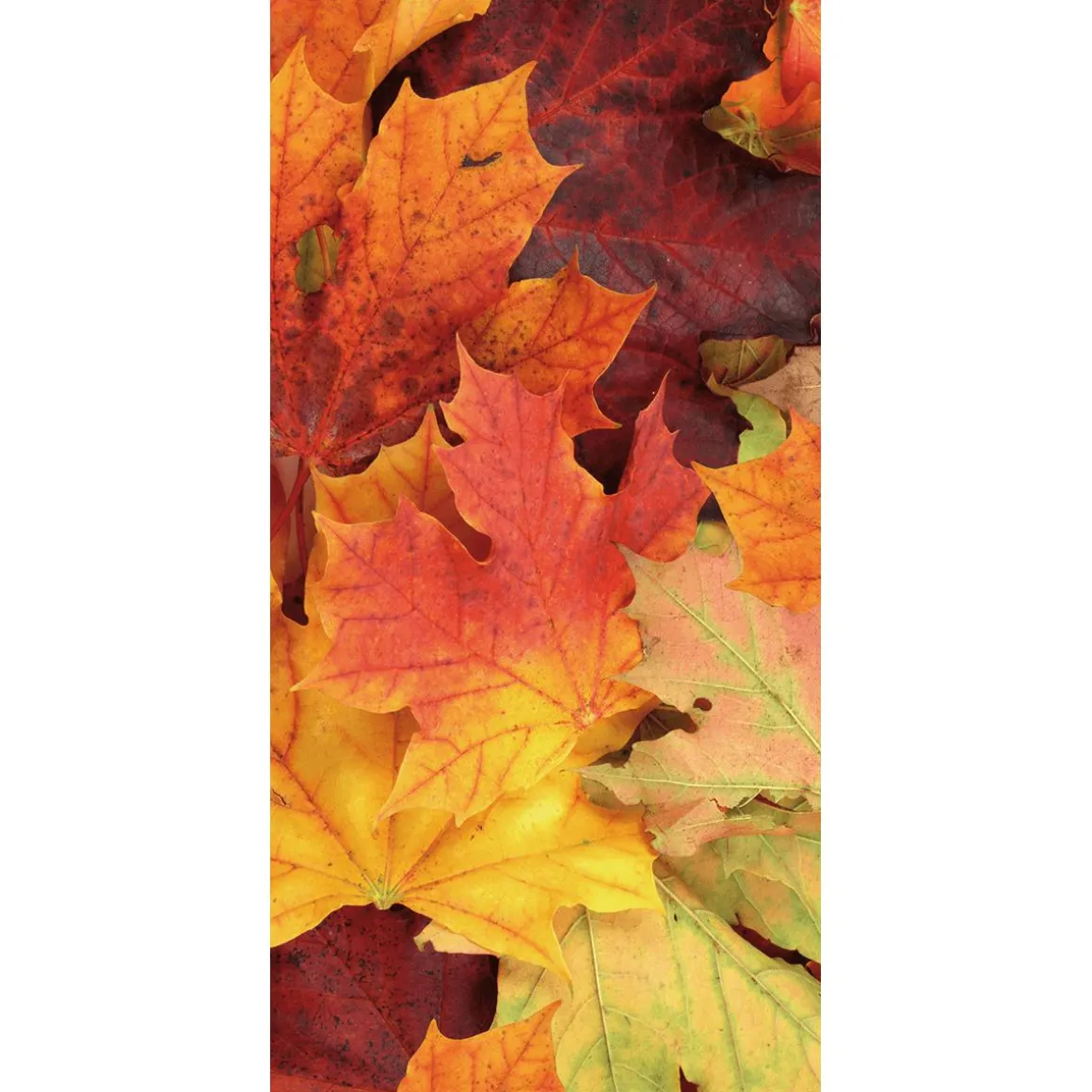 Schwer Entflammbarer Stoffbanner "Herbstlaub" Aus Fahnenstoff 100 X 200 Cm