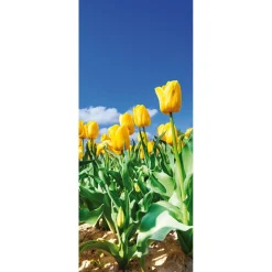 Schwer Entflammbarer Stoffbanner Gelbes Tulpenfeld Aus Fahnenstoff 75 X 180 Cm