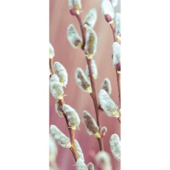 Schwer Entflammbarer Stoffbanner Palmkätzchen Aus Fahnenstoff 75 X 180 Cm