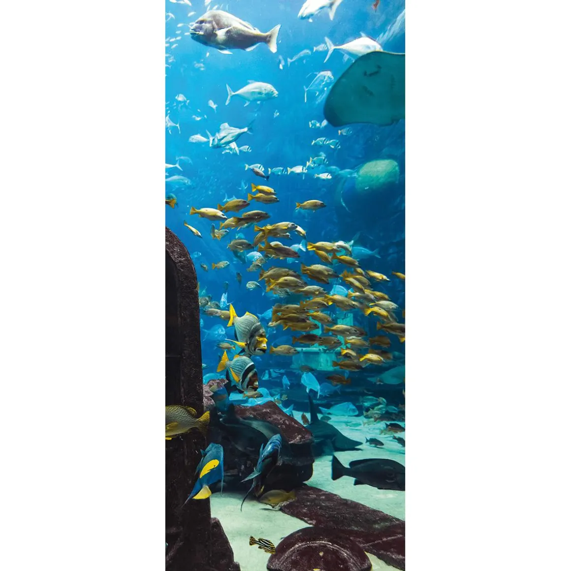 Schwer Entflammbarer Stoffbanner „Unterwasserlandschaft Im Aquarium“ Aus Fahnenstoff 75 X 180 Cm